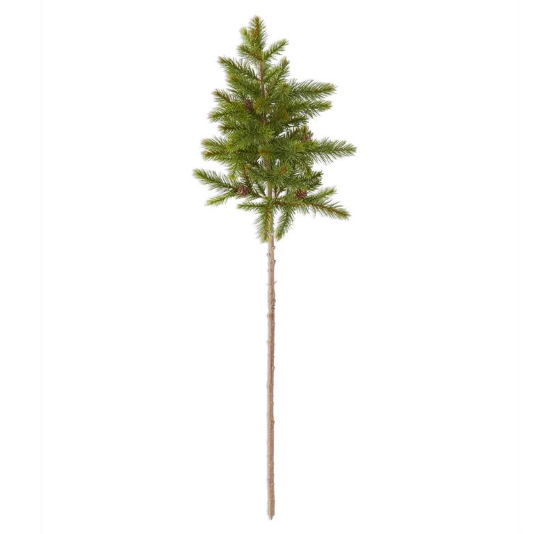 Rustic Pine Stem With Small Pinecones