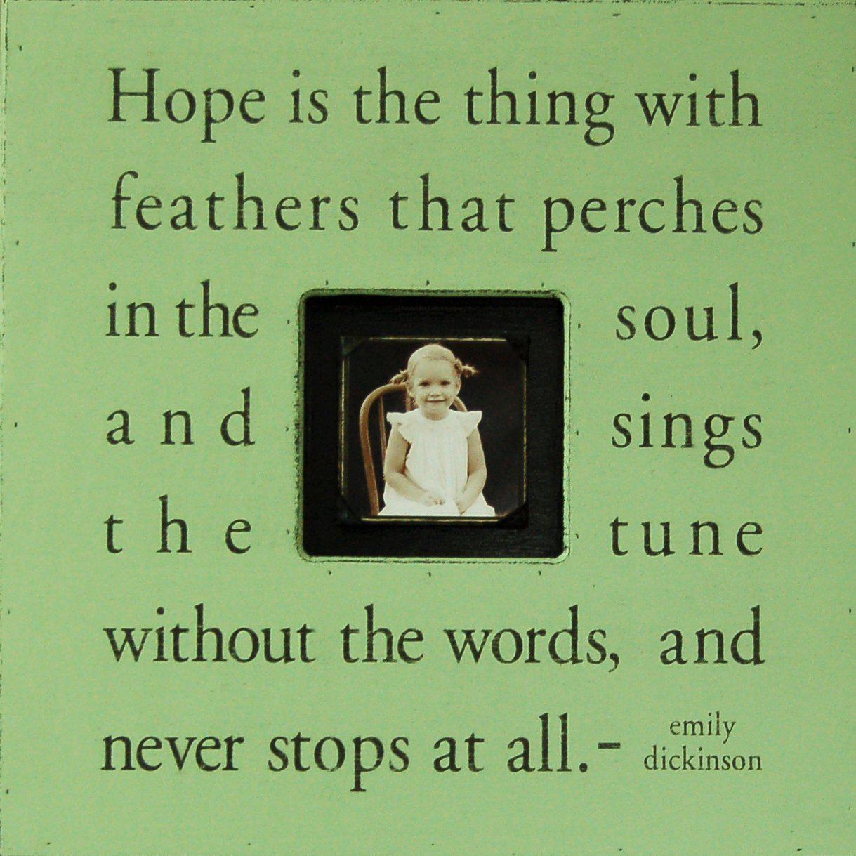 Sugarboo Designs Hope Is The Thing With Feathers Photobox