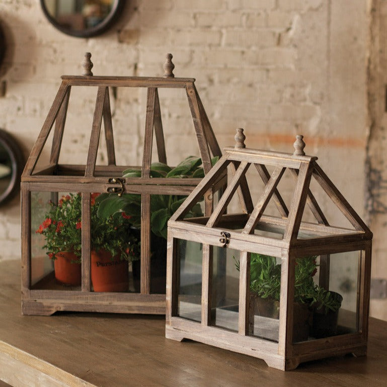 Wood &amp; Glass Terrariums Set